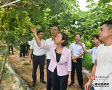 <b>升食物平安管理能力和程度</b>